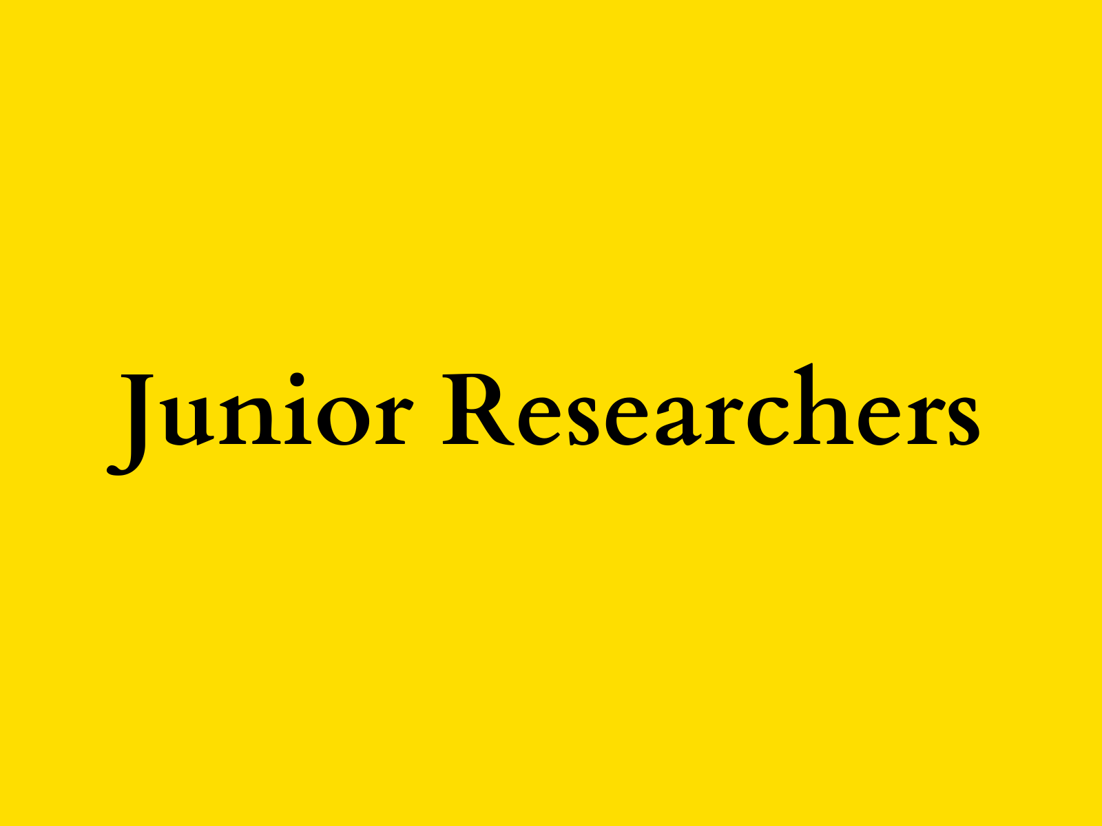 Junior Researchers